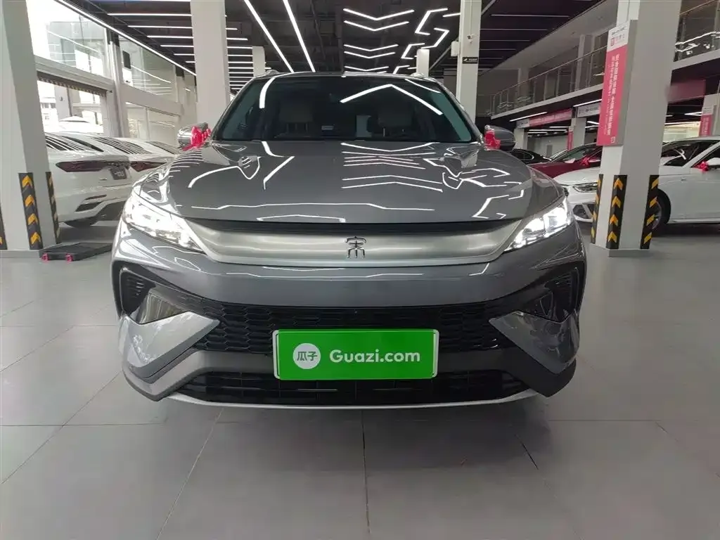 BYD Pro New Energy 2024 из CN, фото 3