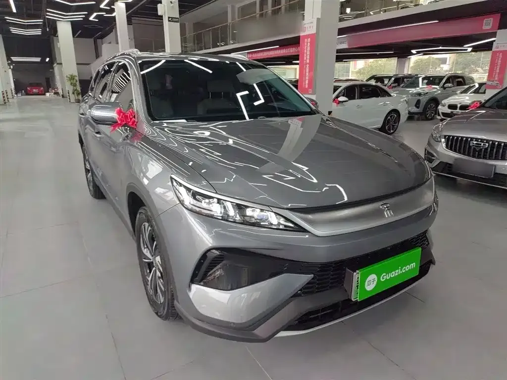 BYD Pro New Energy 2024 из CN, фото 4