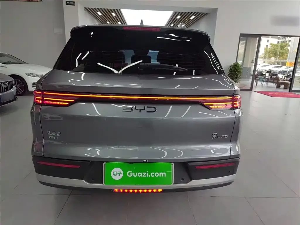 BYD Pro New Energy 2024 из CN, фото 6