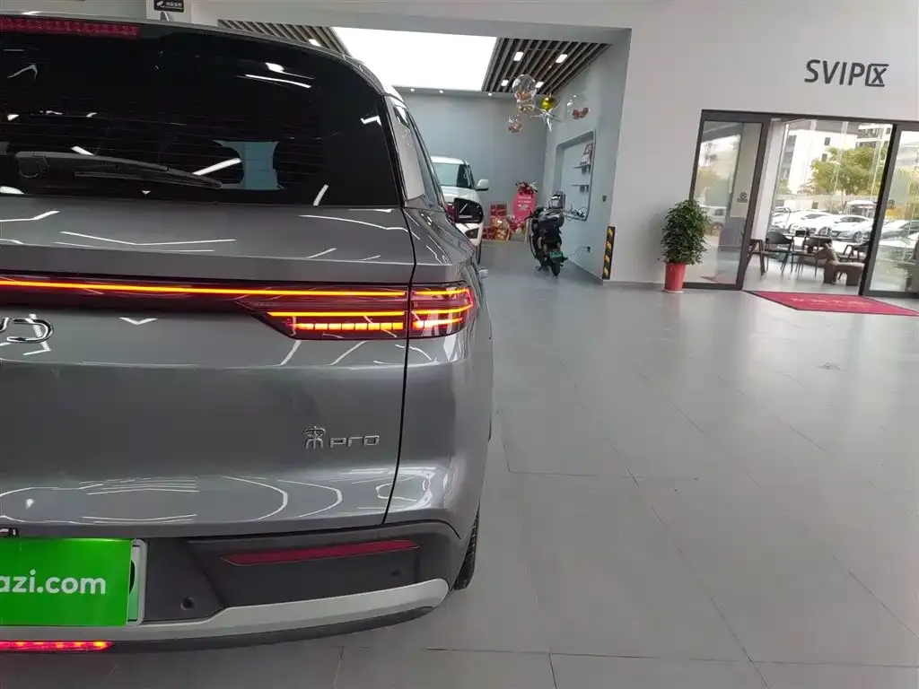 BYD Pro New Energy 2024 из CN, фото 8