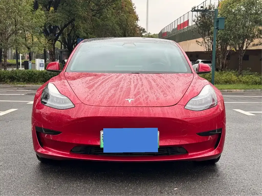 Tesla Model 3 2021 из CN, фото 1