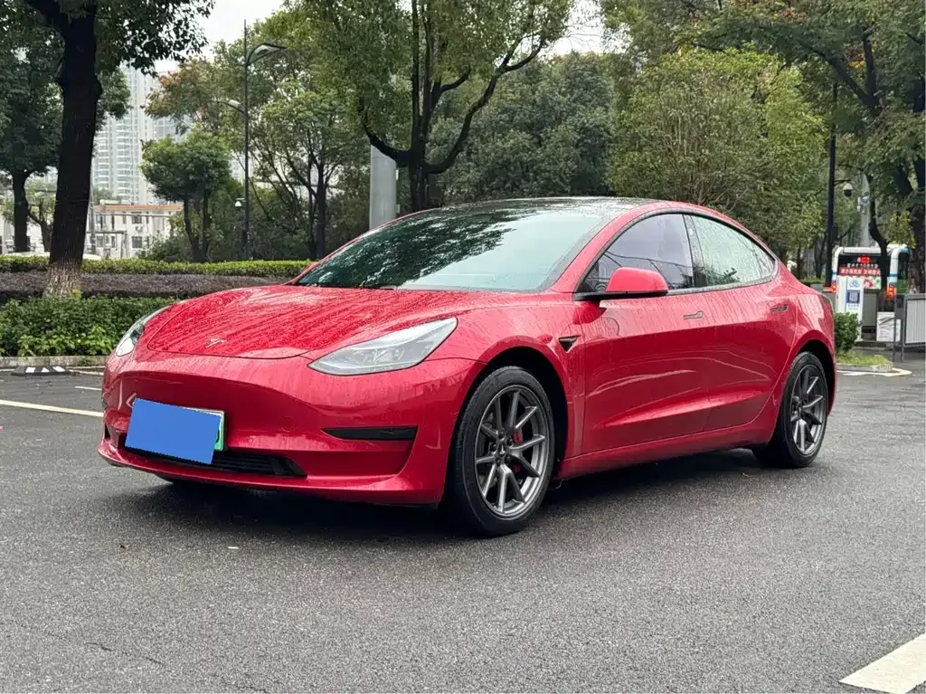 Tesla Model 3 2021 из CN, фото 3