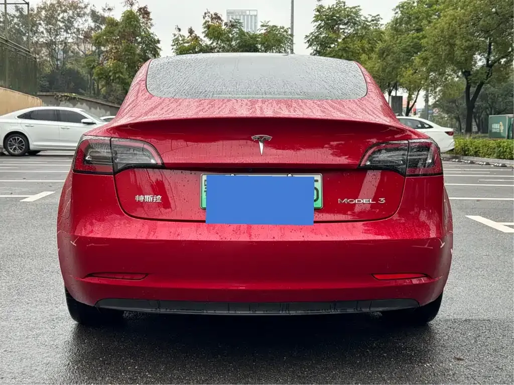 Tesla Model 3 2021 из CN, фото 4
