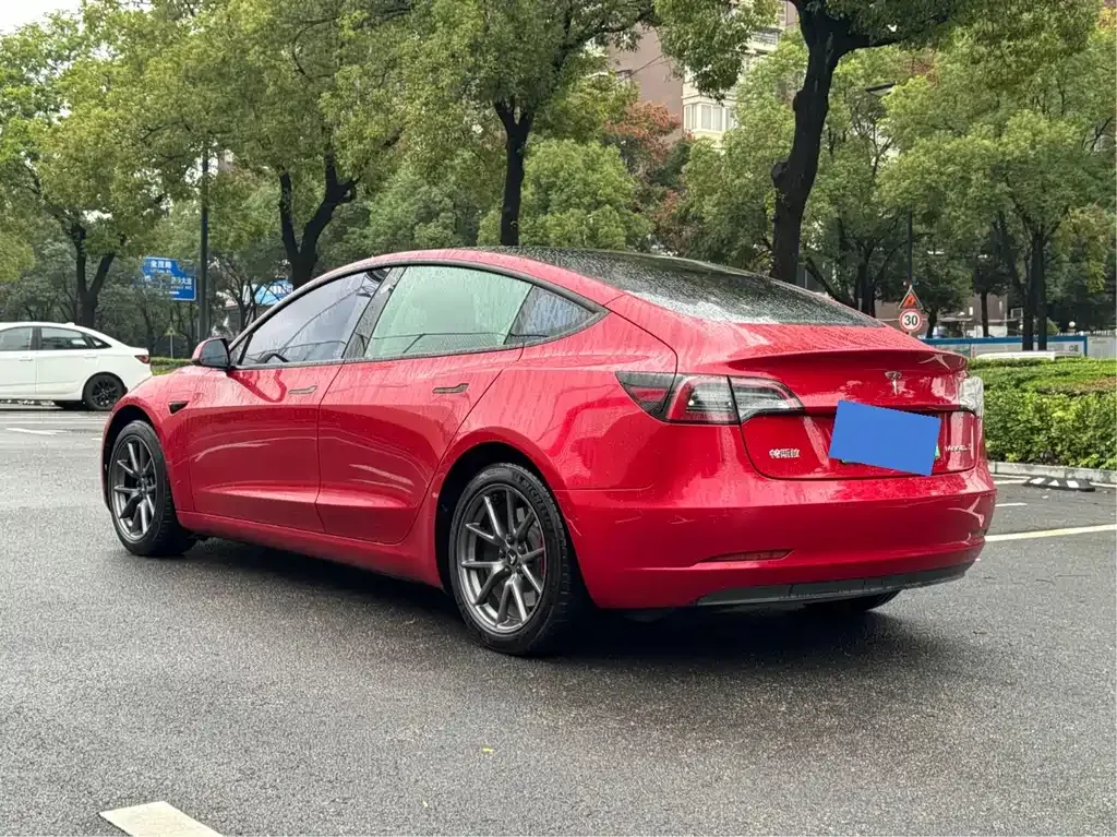 Tesla Model 3 2021 из CN, фото 5