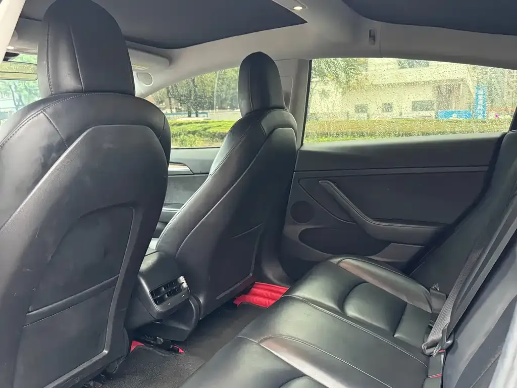 Tesla Model 3 2021 из CN, фото 8