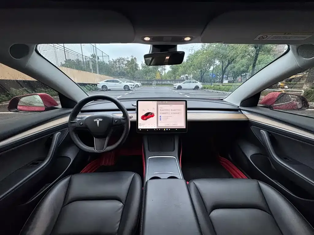 Tesla Model 3 2021 из CN, фото 9