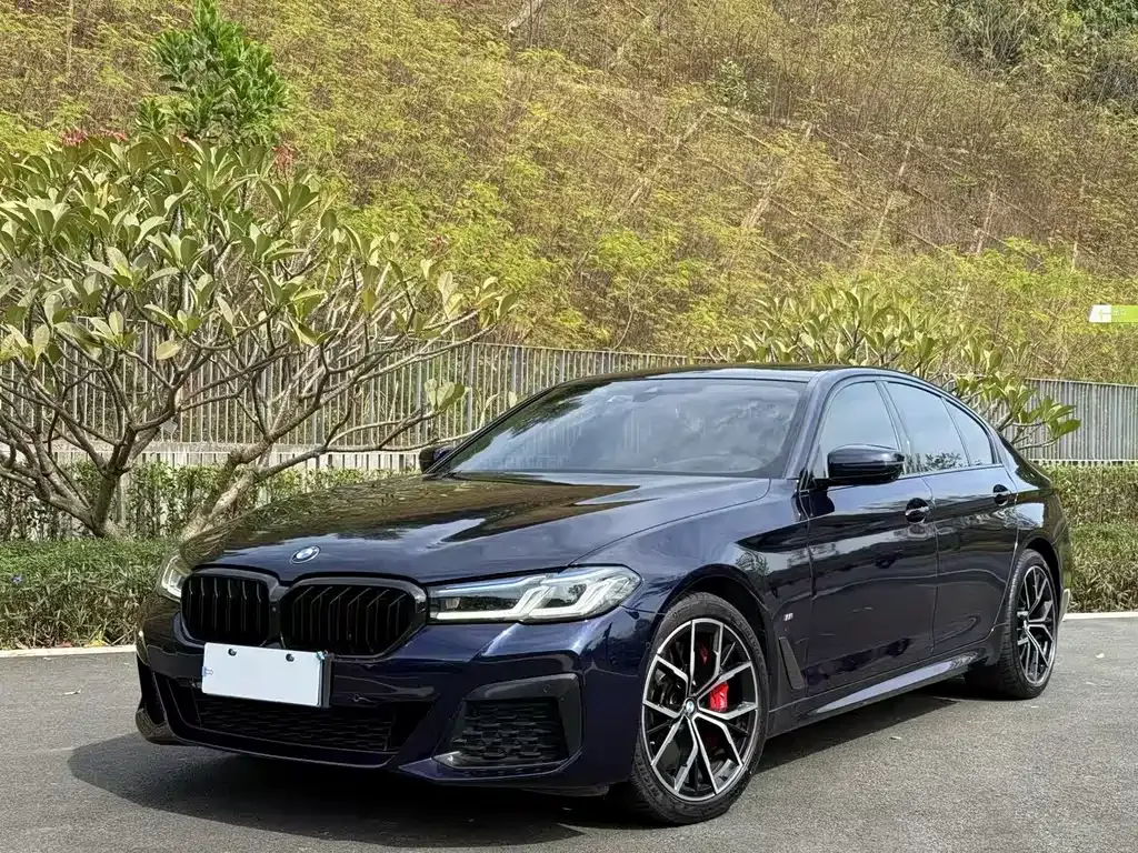 BMW 5 Series (Import) — фото 1