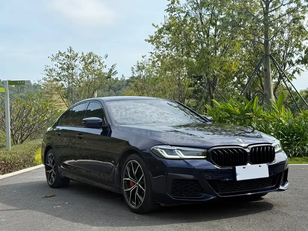 BMW 5 Series (Import) — фото 3