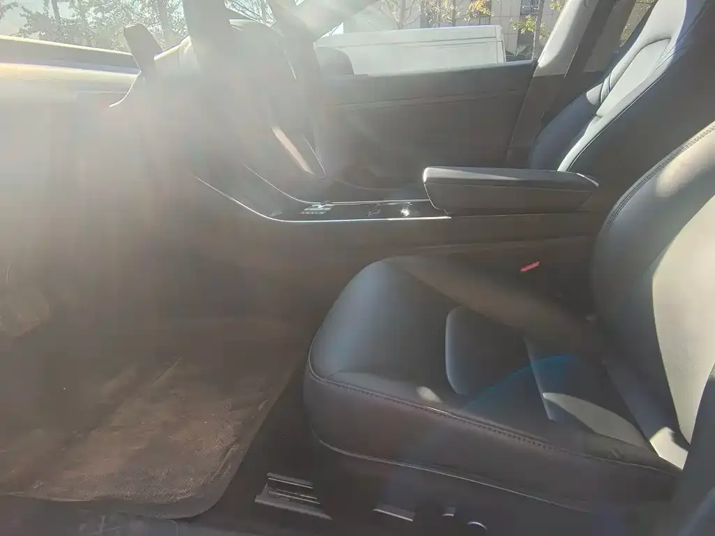 Tesla Model 3 2021 из CN, фото 4