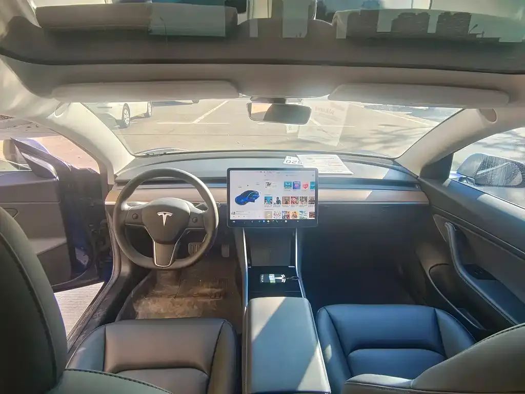 Tesla Model 3 2021 из CN, фото 5