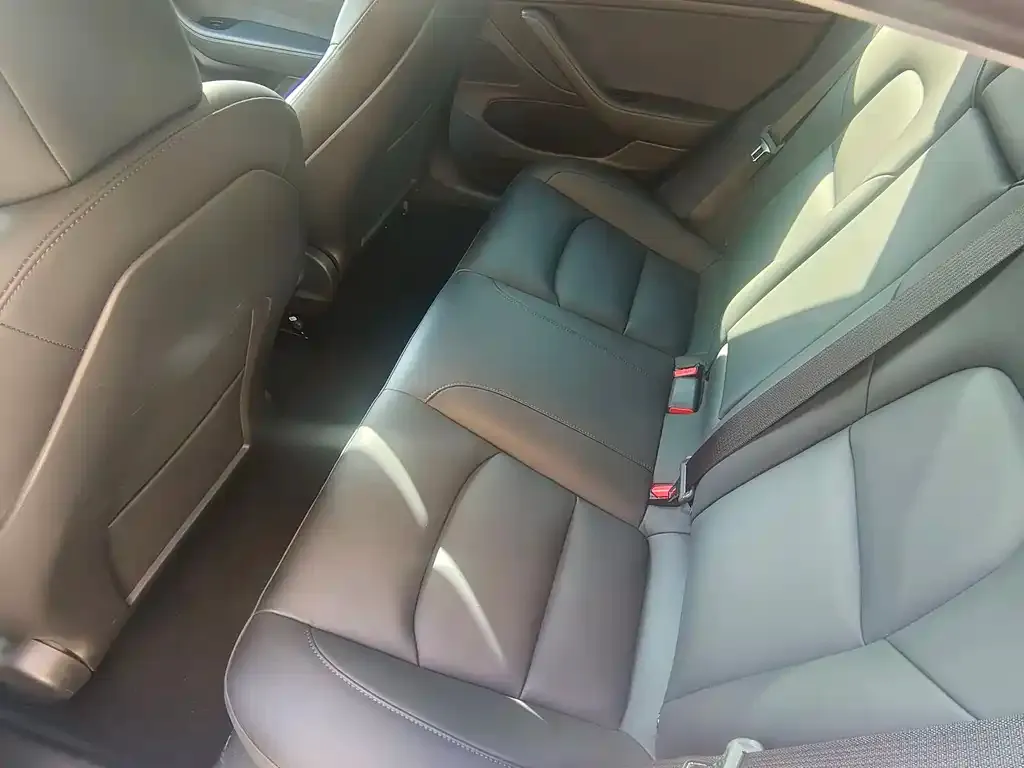 Tesla Model 3 2021 из CN, фото 6