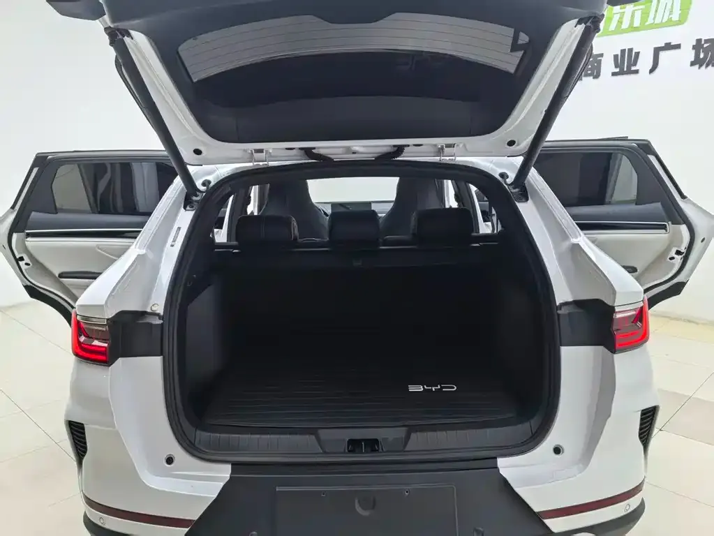 BYD PLUS New Energy 2022 из CN, фото 10