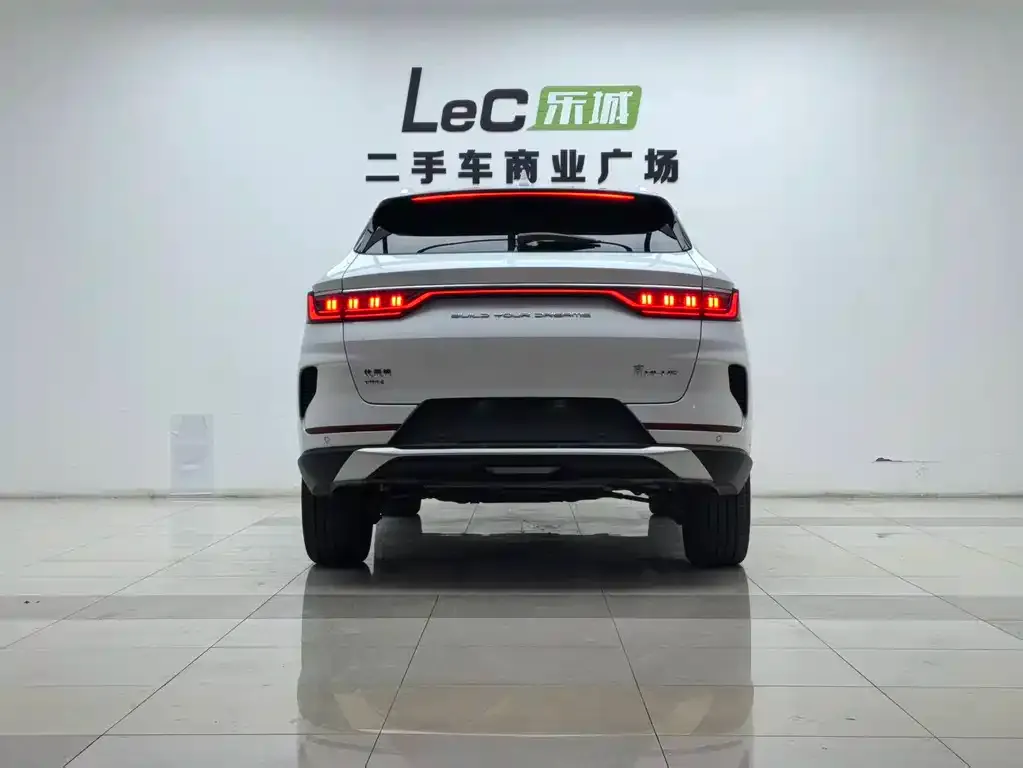 BYD PLUS New Energy 2022 из CN, фото 5
