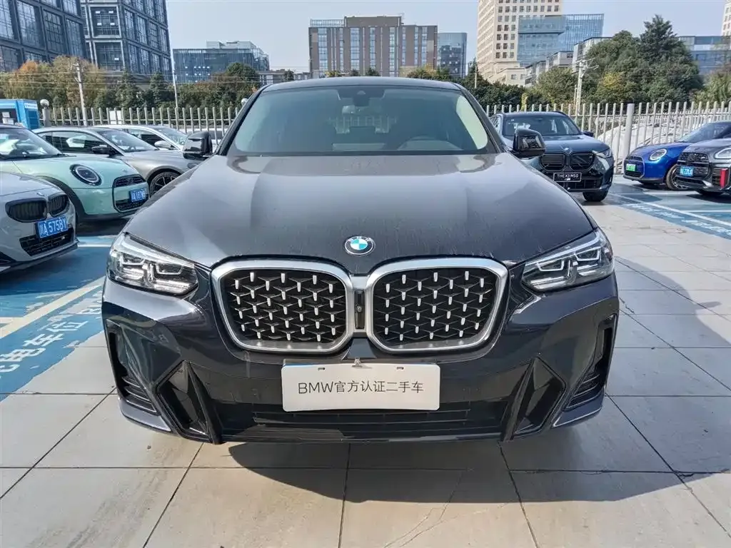 BMW X4 2022 из CN, фото 2