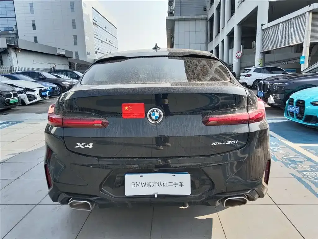 BMW X4 2022 из CN, фото 4