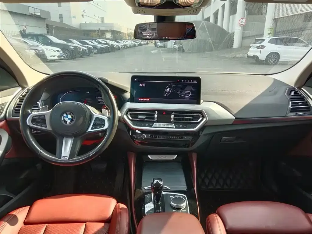 BMW X4 2022 из CN, фото 8