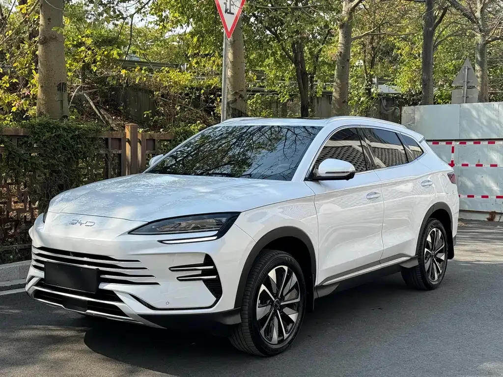 BYD PLUS New Energy — фото 1