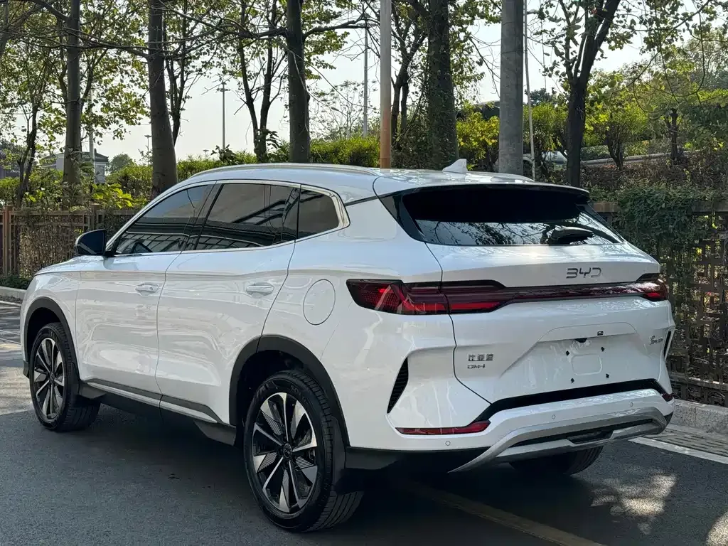 BYD PLUS New Energy — фото 8