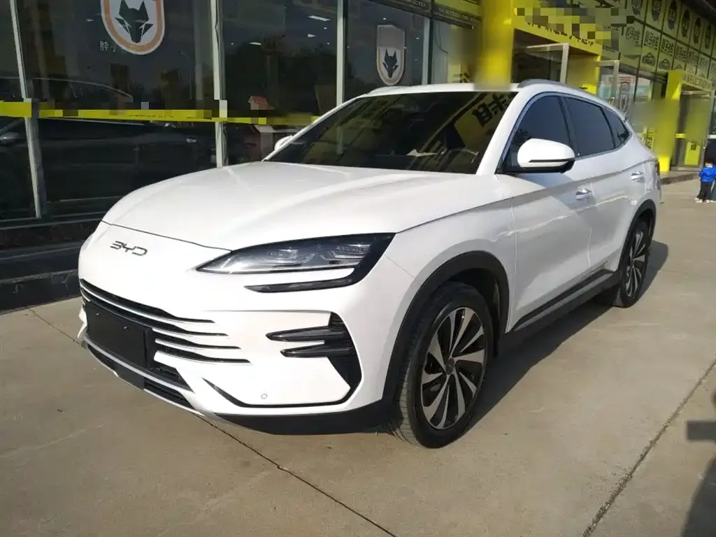 BYD PLUS New Energy 2023 из CN, фото 1
