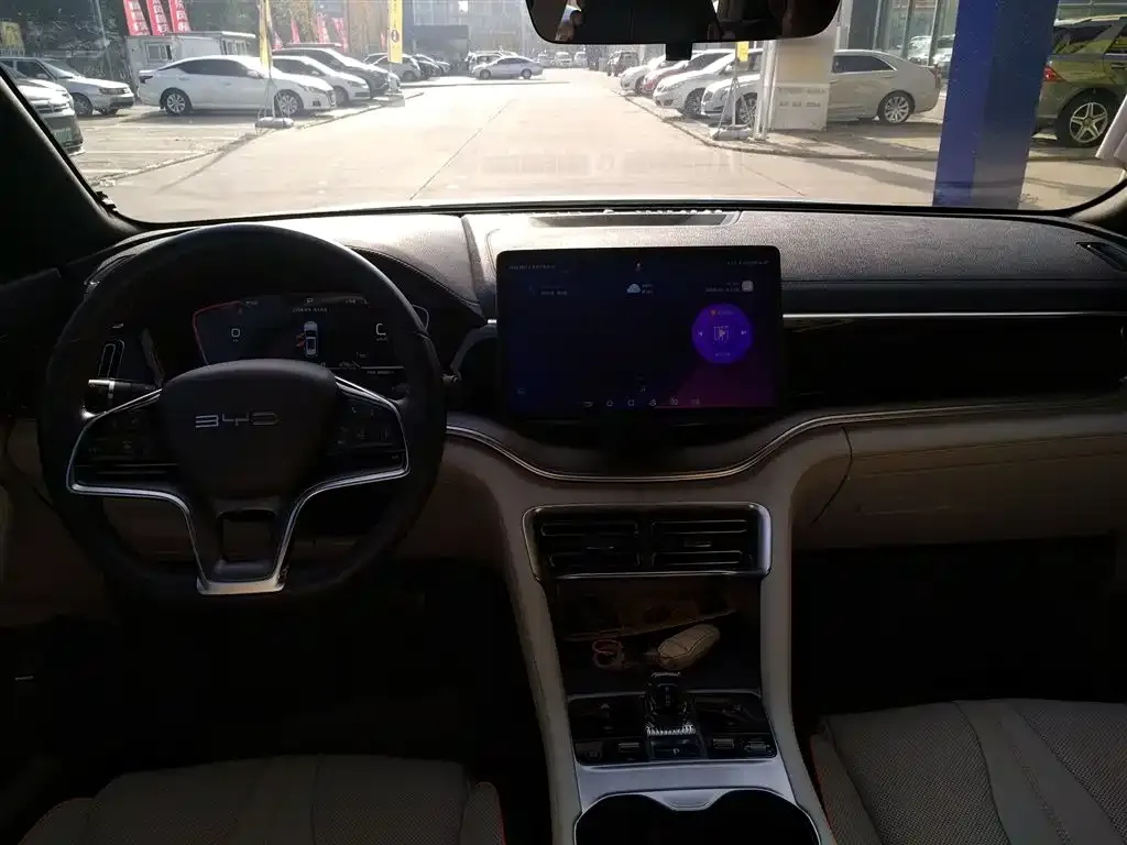 BYD PLUS New Energy 2023 из CN, фото 10