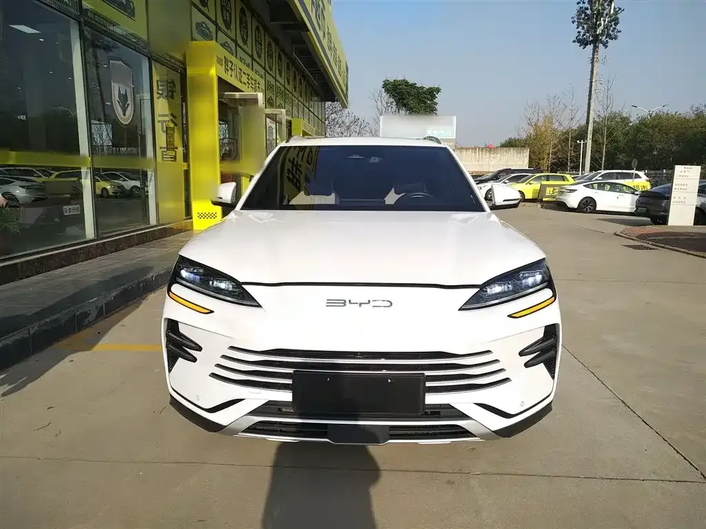 BYD PLUS New Energy 2023 из CN, фото 3