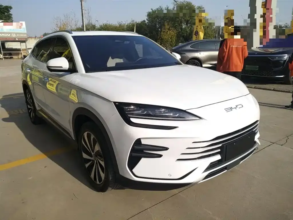 BYD PLUS New Energy 2023 из CN, фото 4