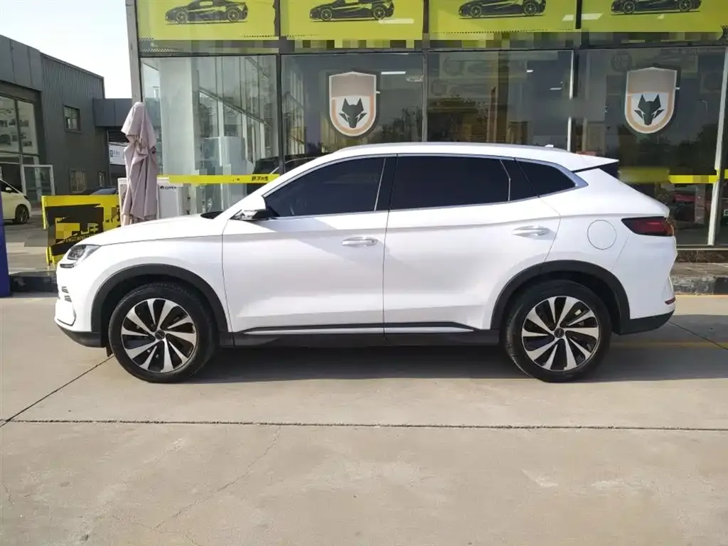BYD PLUS New Energy 2023 из CN, фото 5