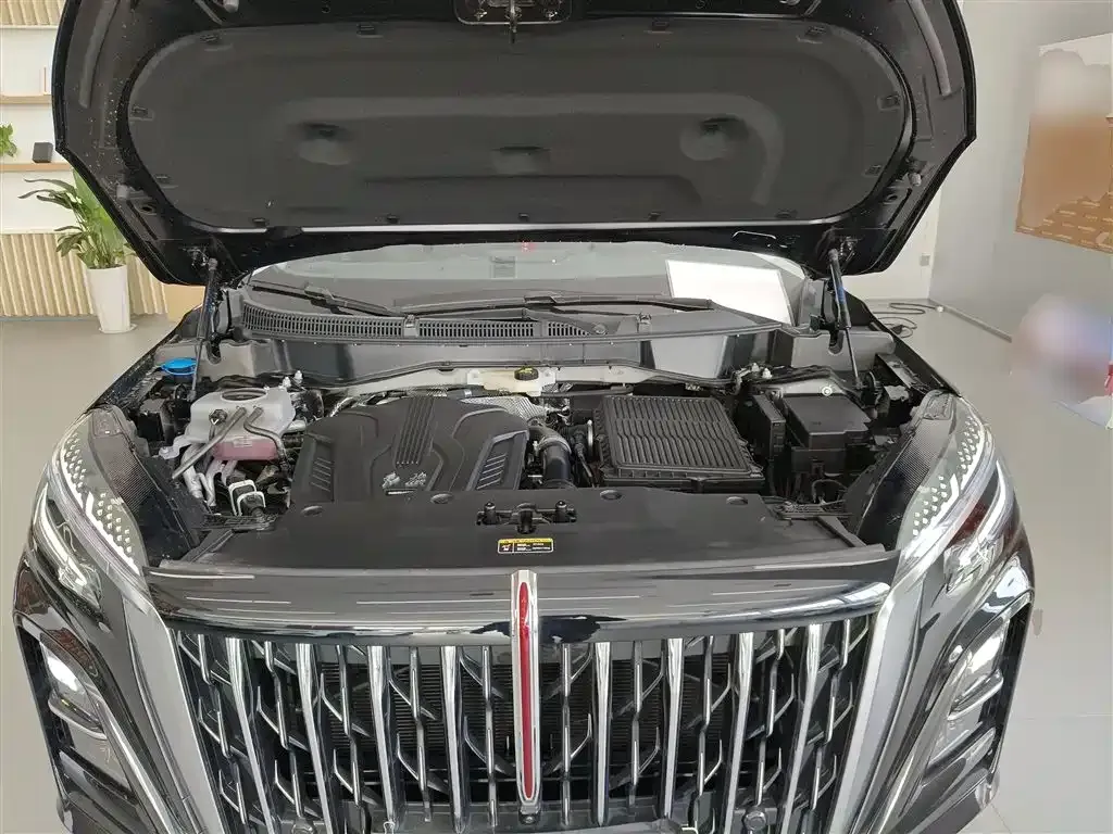 Hongqi HS3 PHEV 2025 из CN, фото 10