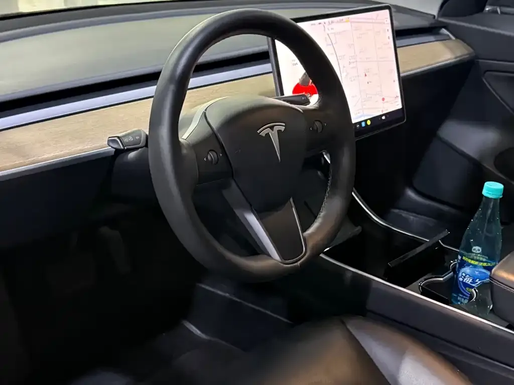 Tesla Model 3 2021 из CN, фото 4
