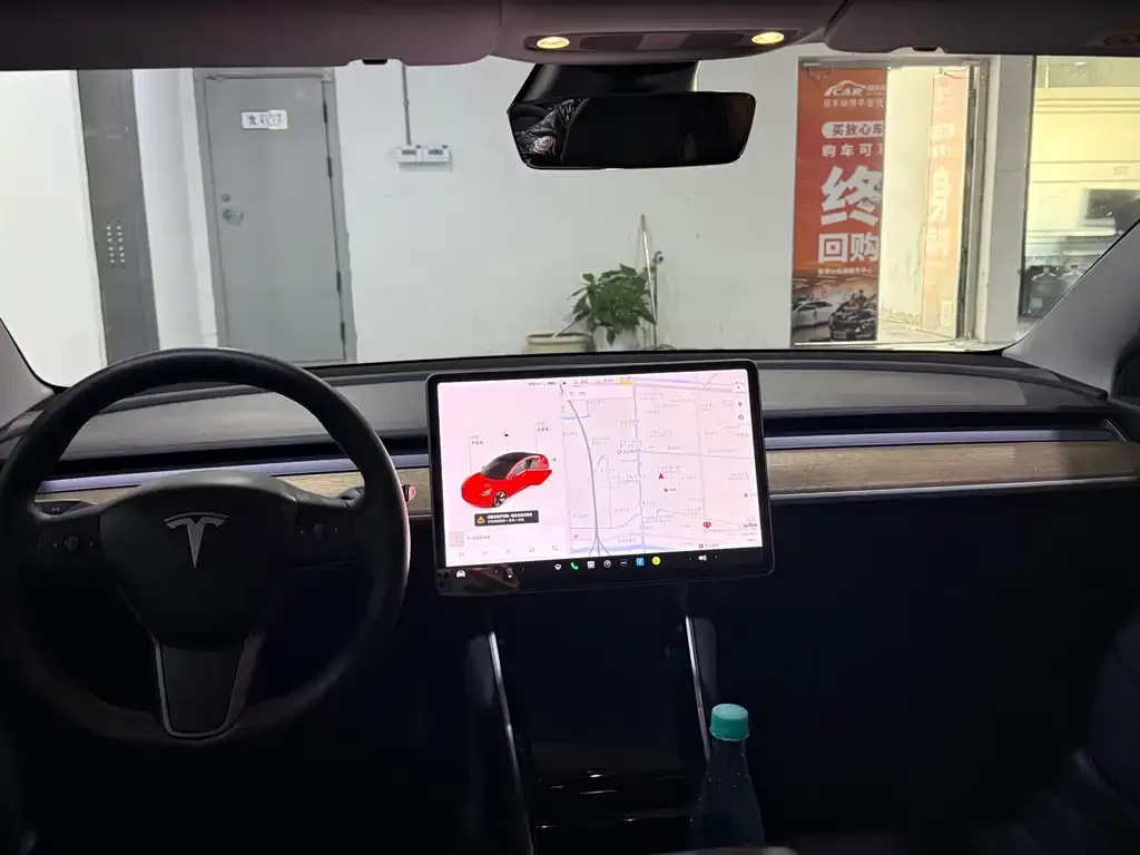 Tesla Model 3 2021 из CN, фото 6