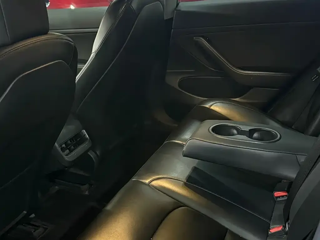 Tesla Model 3 2021 из CN, фото 7
