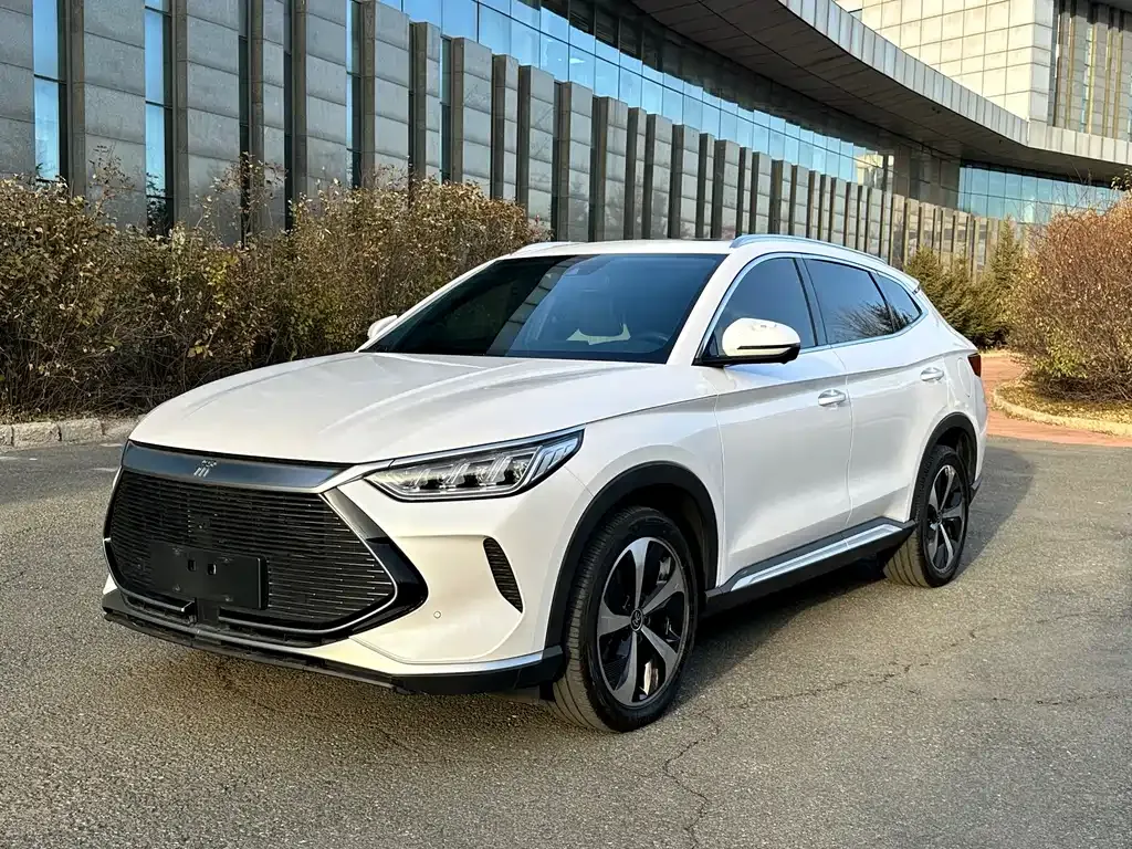 BYD PLUS New Energy 2022 из CN, фото 1