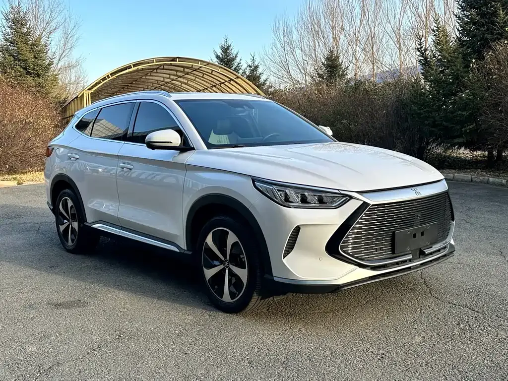 BYD PLUS New Energy 2022 из CN, фото 3