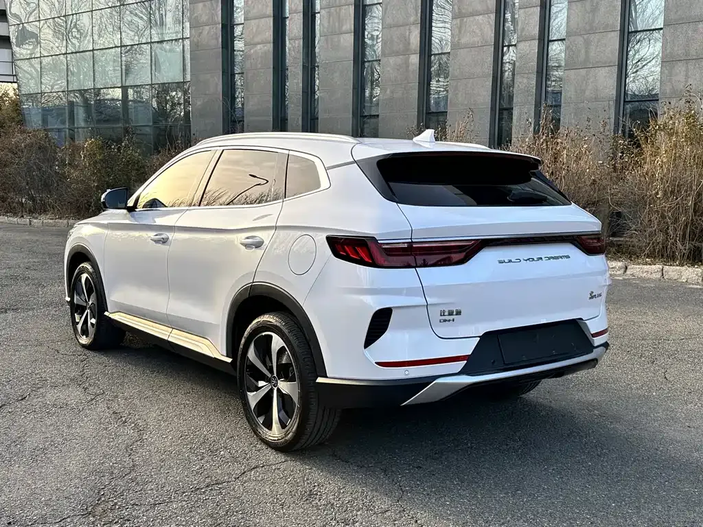 BYD PLUS New Energy 2022 из CN, фото 4