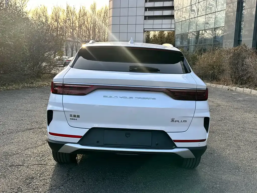 BYD PLUS New Energy 2022 из CN, фото 5