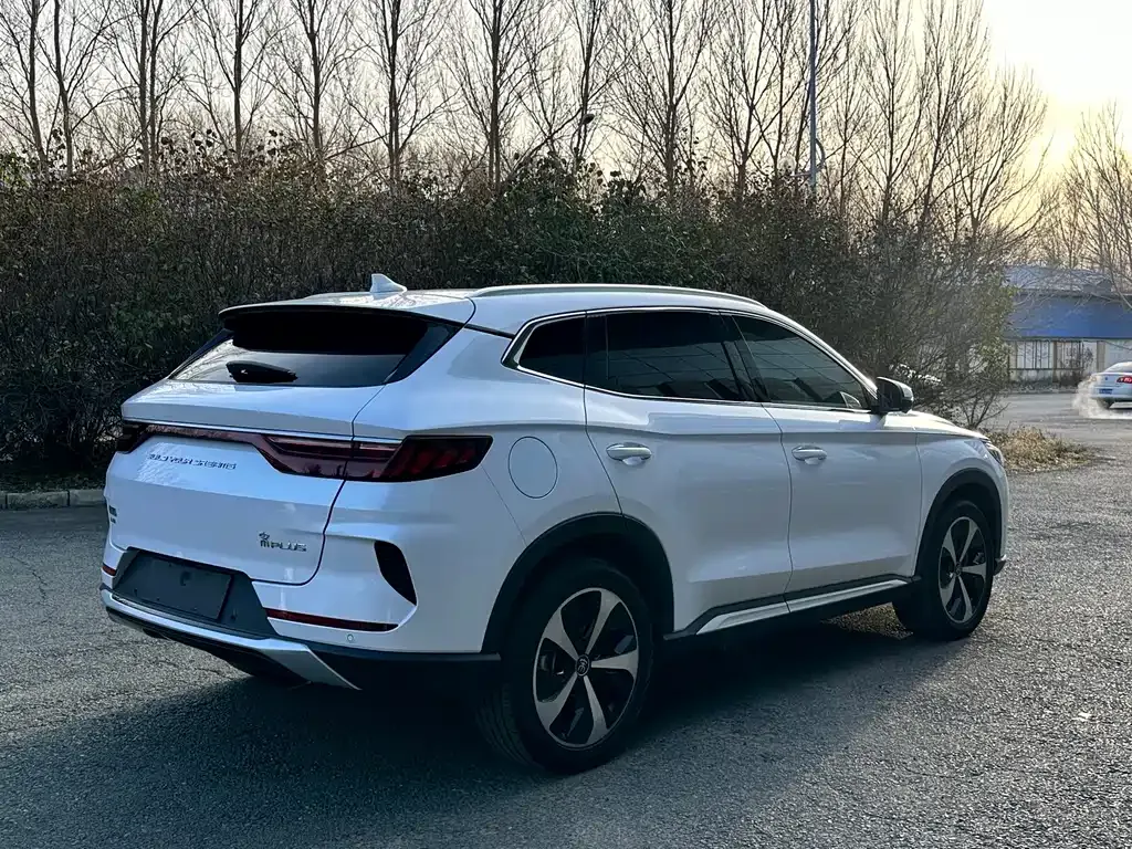BYD PLUS New Energy 2022 из CN, фото 6