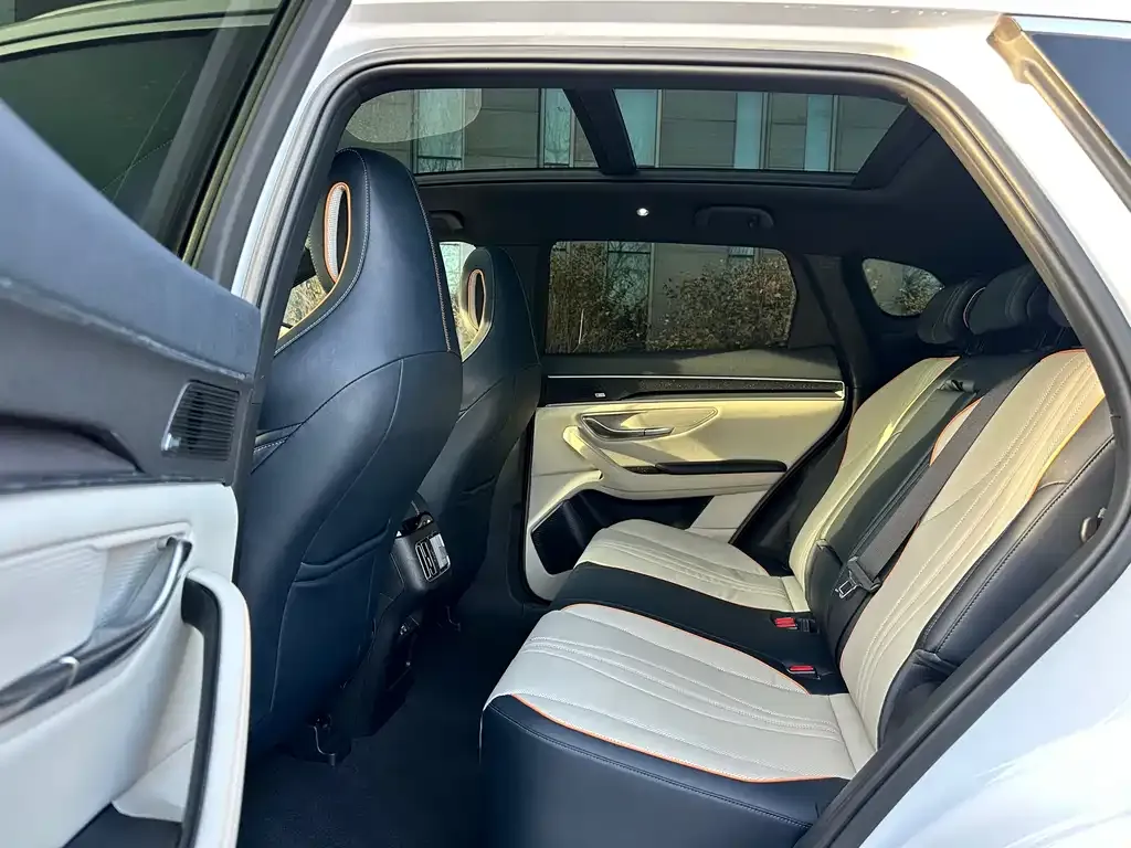 BYD PLUS New Energy 2022 из CN, фото 7