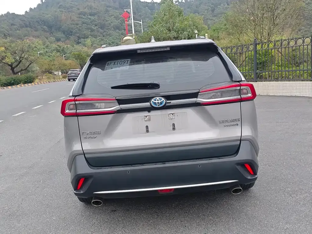 Toyota Wildlander 2023 из CN, фото 5