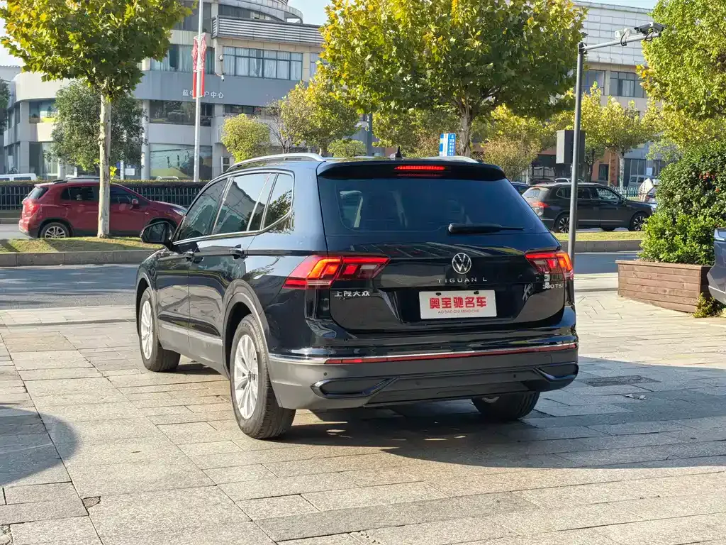Volkswagen Tiguan L 2024 из CN, фото 6