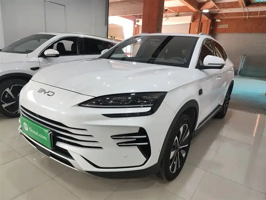 BYD PLUS New Energy 2025 из CN, фото 1