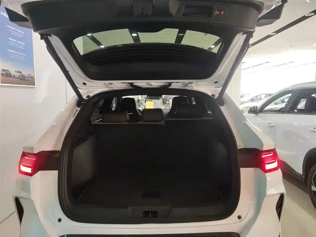 BYD PLUS New Energy 2025 из CN, фото 10