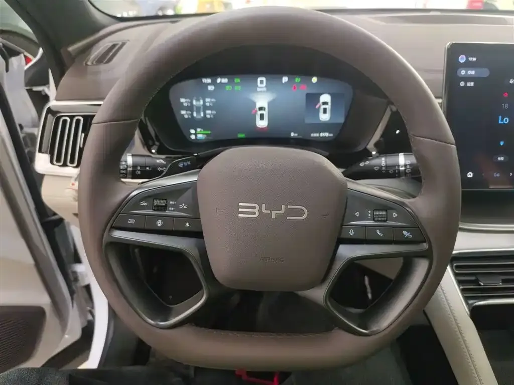 BYD PLUS New Energy 2025 из CN, фото 3