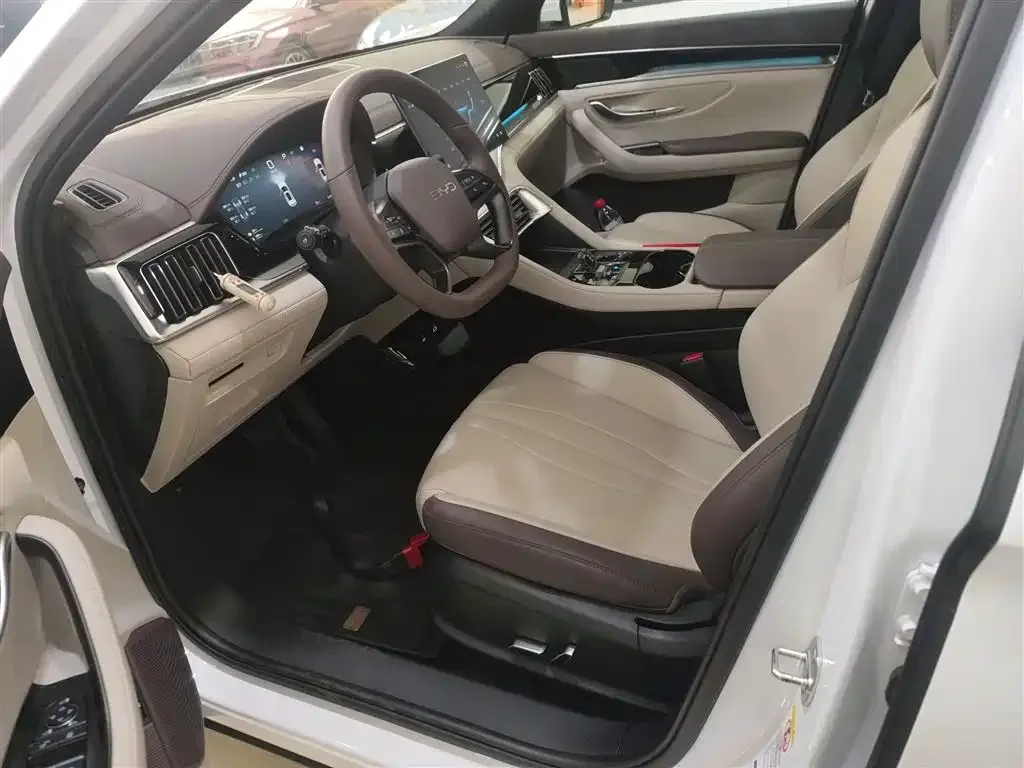BYD PLUS New Energy 2025 из CN, фото 8