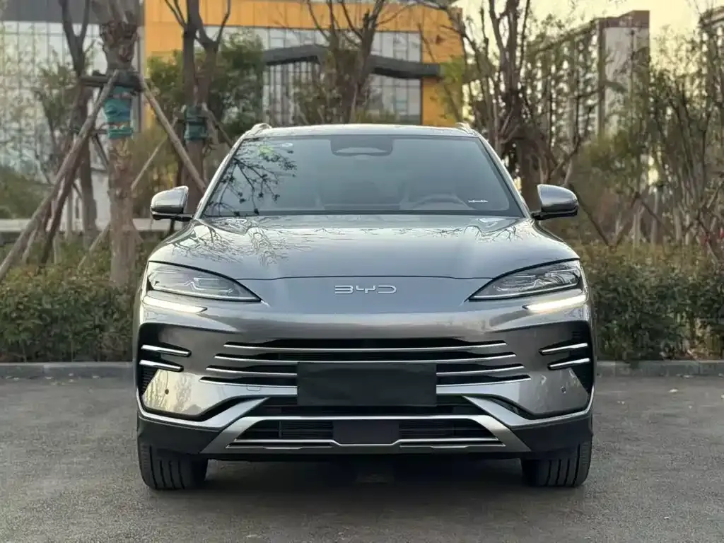 BYD PLUS New Energy 2025 из CN, фото 2
