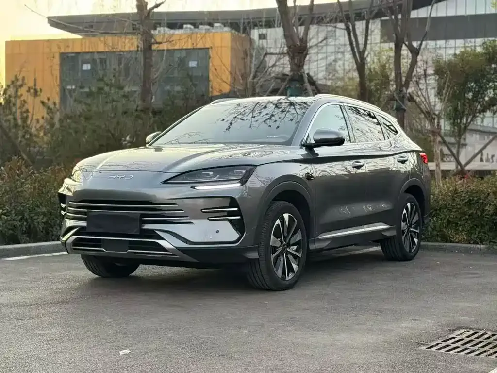 BYD PLUS New Energy 2025 из CN, фото 3