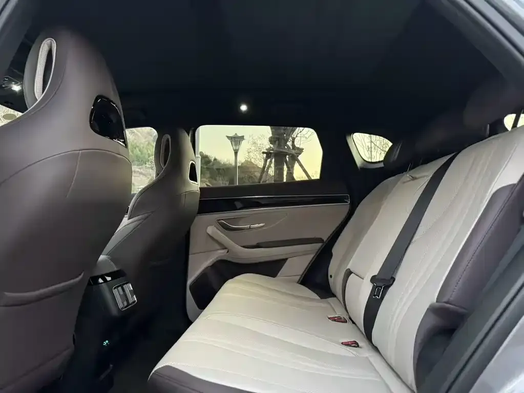 BYD PLUS New Energy 2025 из CN, фото 9