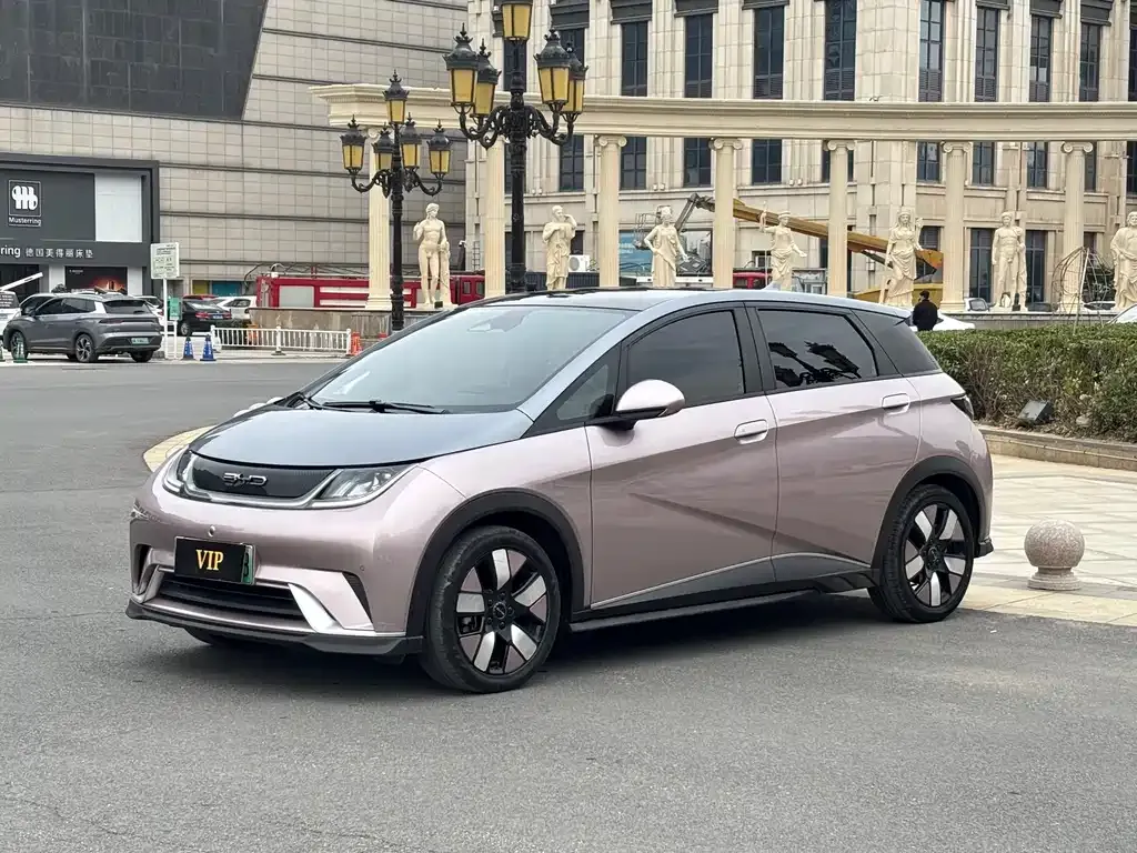 BYD Dolphin 2024 из CN, фото 1