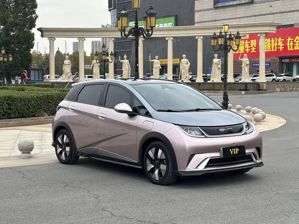 BYD Dolphin 2024 из CN, фото 2