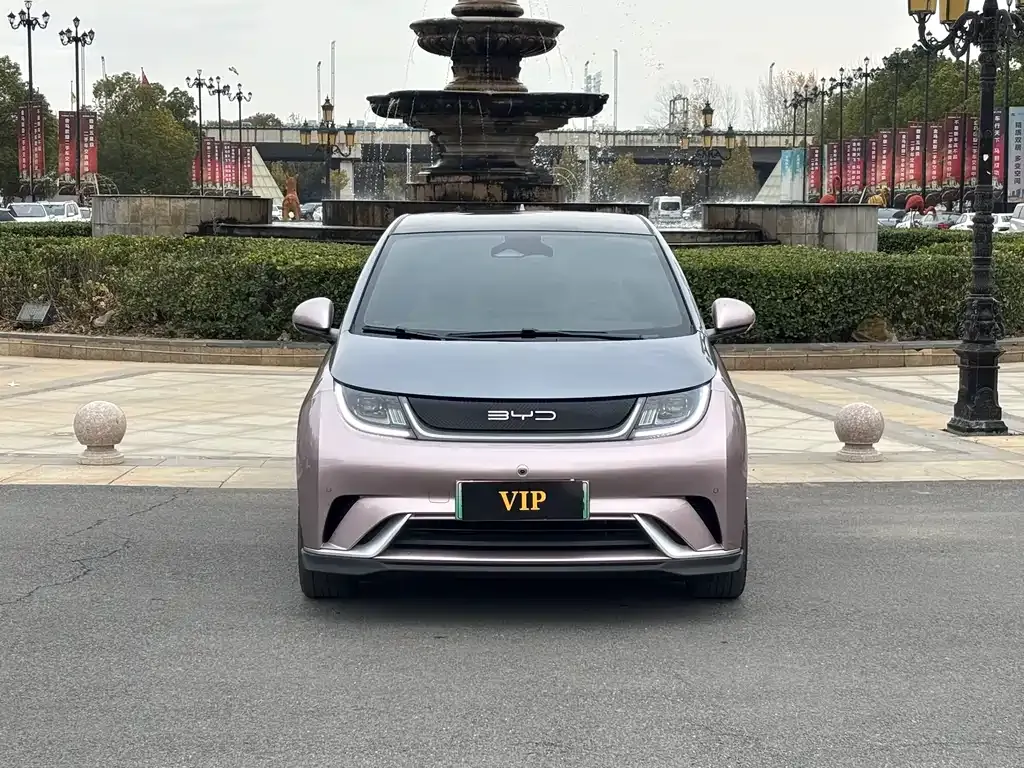 BYD Dolphin 2024 из CN, фото 3