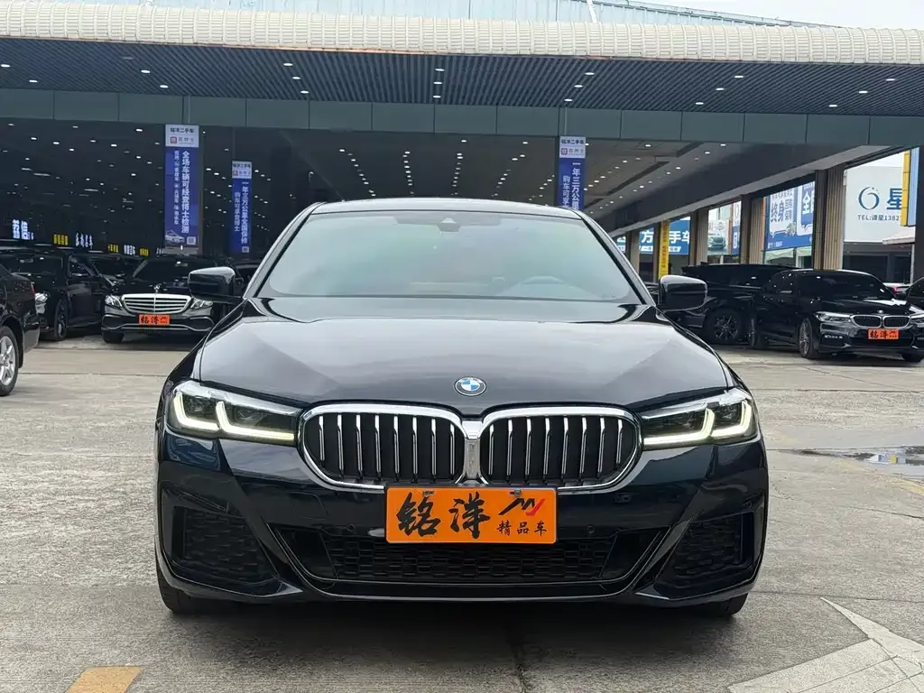 BMW 5 Series 2022 из CN, фото 2